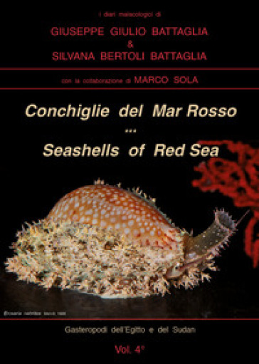 Conchiglie del Mar Rosso-Red Sea's seashelles. Ediz. bilingue - Giuseppe Giulio Battaglia - Silvana Bertoli Battaglia