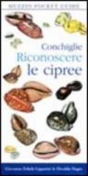 Conchiglie. Riconoscere le cipree