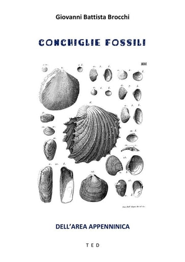 Conchiglie fossili - Giovanni Battista Brocchi