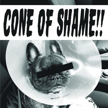 Cone of shame clear - Faith No More