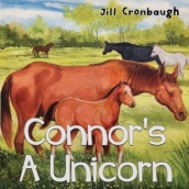 Connor s A Unicorn