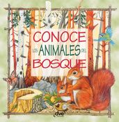 Conoce los animales del bosque