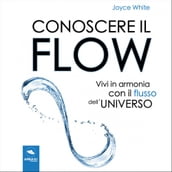 Conoscere il Flow