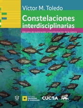 Constelaciones interdisciplinarias