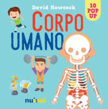 Corpo umano. Libro pop-up. Ediz. a colori - David Hawcock