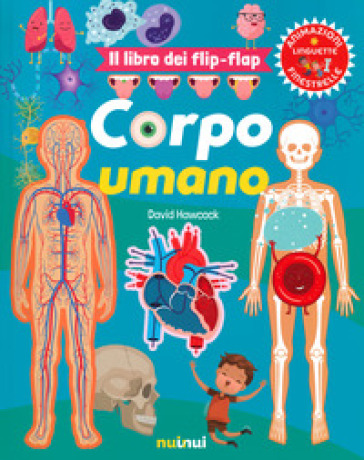 Corpo umano. Il libro dei flip-flap. Ediz. a colori - David Hawcock
