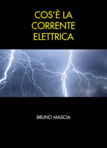 Cos'è la corrente elettrica - Bruno Mascia