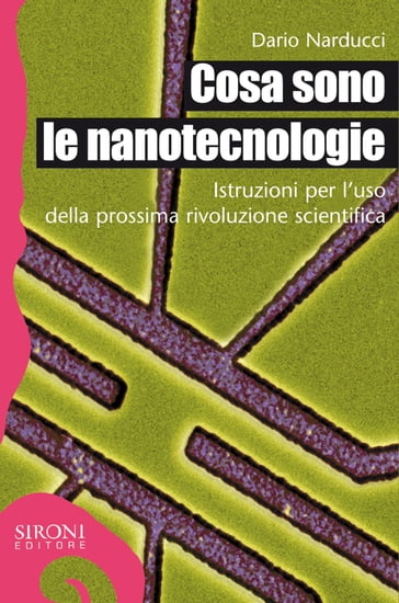 Cosa sono le nanotecnologie - Dario Narducci