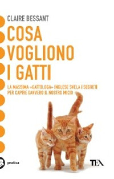 Cosa vogliono i gatti - Claire Bessant