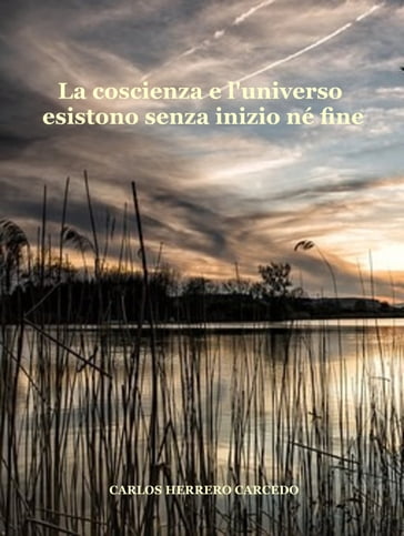 La Coscienza E L'Universo Esistono Senza Inizio Né Fine - CARLOS HERRERO CARCEDO