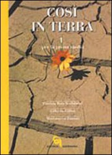 Così in terra. Per la Scuola media. Vol. 1 - Patrizio Rota Scalabrini - Gilberto Gillini - Mariateresa Zattoni Gillini