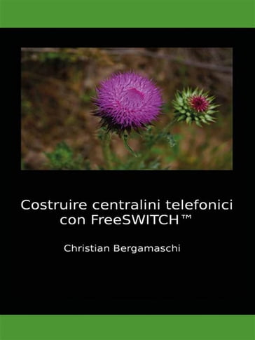 Costruire centralini telefonici con FreeSWITCH - Christian Bergamaschi