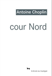 Cour nord