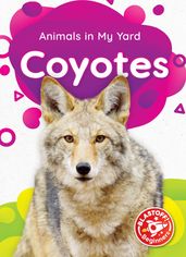 Coyotes