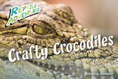 Crafty Crocodiles