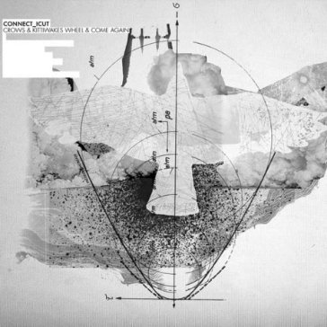 Crows & kittiwakes wheel & come agai - CONNECT_ICUT