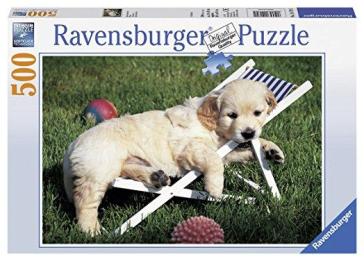 Cucciolo di Golden Retriever - Puzzle 500 pz.