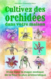 Cultivez des orchidées dans votre maison. Vivez dans la magie exotique de la fleur la plus aristocratique