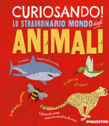 Curiosando! Lo straordinario mondo degli animali. Ediz. a colori - Clare Hibbert