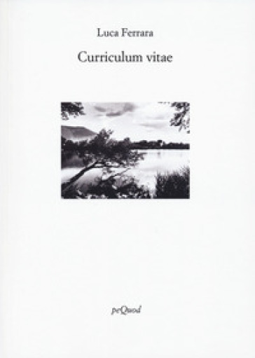 Curriculum vitae - Luca Ferrara