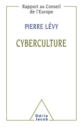 Cyberculture