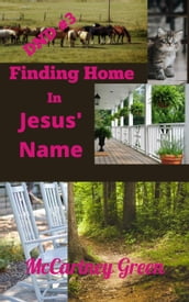 DND #3 Finding Home - In Jesus  Name