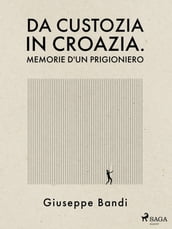 Da Custozia in Croazia. Memorie d un prigioniero