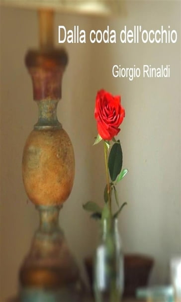 Dalla coda dell'occhio - Giorgio Rinaldi