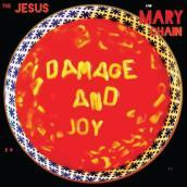 Damage and joy