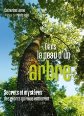 Dans la peau d un arbre