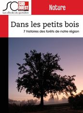 Dans les petits bois