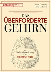 Das überforderte Gehirn