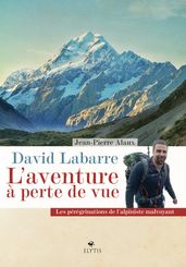 David Labarre - L aventure à perte de vue