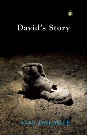 David s Story