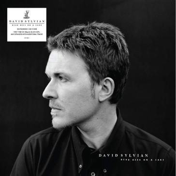 Dead bees on a cake (180 gr. black vinyl - David Sylvian