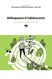 Délinquance à l adolescence