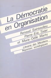 La Démocratie en organisation : vers des fonctionnements collectifs de travail