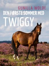 Den første sommer med Twiggy