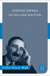 Der Stern über dem Walde