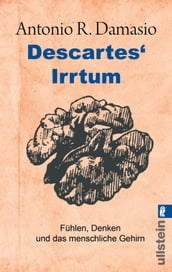 Descartes  Irrtum