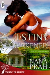 Destiny Awakened (Destiny African Romance #4)