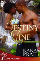 Destiny Mine (Destiny African Romance book #2)