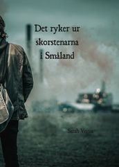 Det ryker ur skorstenarna i Smaland