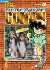 Detective Conan 29