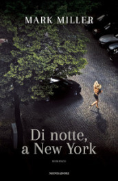 Di notte, a New York