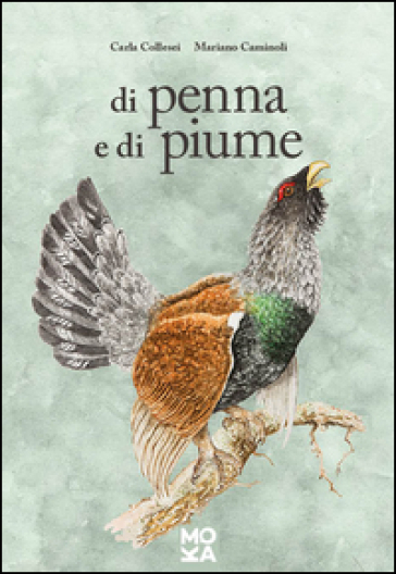 Di penna e di piume - Carla Collesei