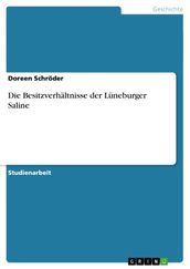 Die Besitzverhältnisse der Lüneburger Saline