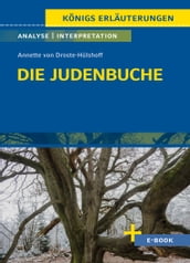 Die Judenbuche von Annette von Droste-Hülshoff - Textanalyse und Interpretation