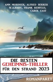 Die besten Geheimnis-Thriller für den Strand 2023: Romanpaket