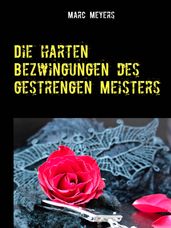 Die harten Bezwingungen des gestrengen Meisters